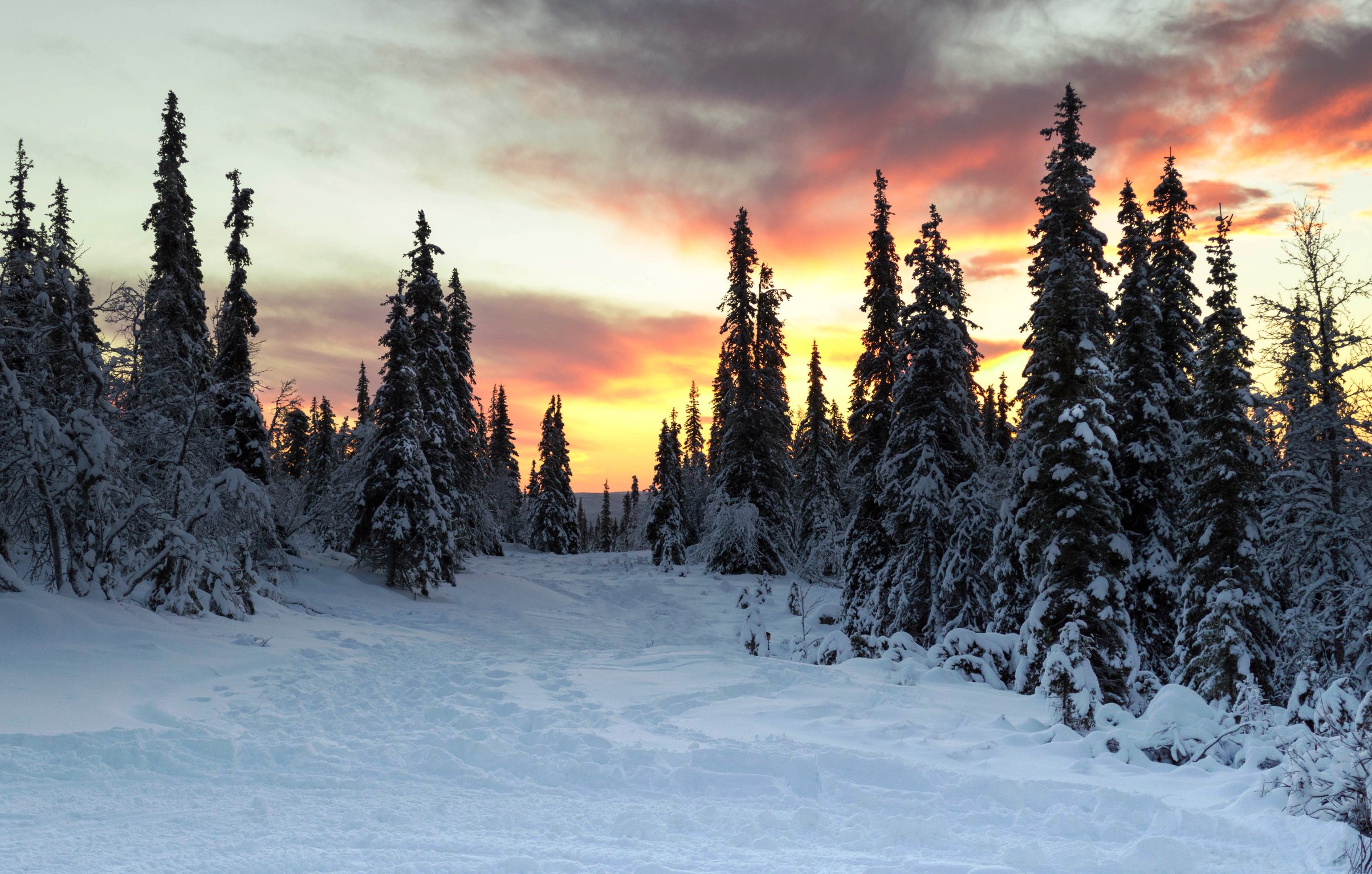 Snowy scene